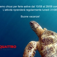 News #53